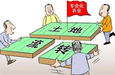如何处理土地使用权转让合同纠纷