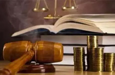 民事举证责任探析—举证责任倒置在公司纠纷案件中的实务运用
